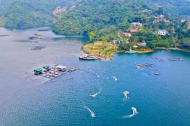 Muong village integrates aquaculture with eco-tourism