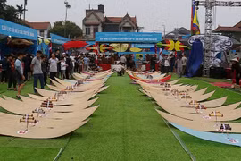 Kite festival recognised as national intangible cultural heritage
