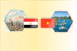 Vietnam-Egypt traditional friendship relations