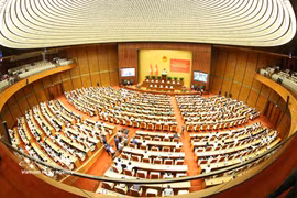 Top leader urges unified action to implement Party Central Committee's strategic decisions