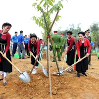 Residents of Tuyen Quang province take part in the One Billion Trees Programme. (Photo: VNA)