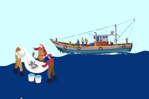 Urgent tasks to address IUU fishing