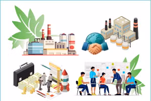 Foreign investment in Vietnam up 42.9%