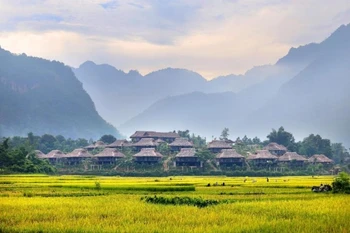 A golden rice field in Mai Chau district of Hoa Binh province. (Photo: Mai Chau Ecolodge)