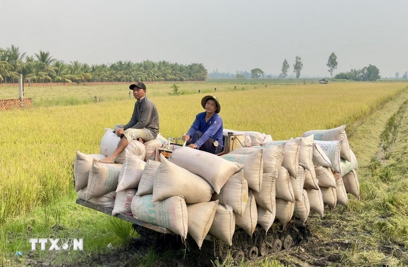 Vietnam is among the world's top 15 agricultural exporters, with markets spanning over 200 countries and territories. (Photo: VNA)