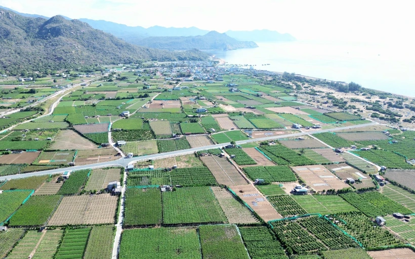 The Ninh Thuan 2 nuclear power plant project will cover 643 hectares in Thai An village, Vinh Hai commune, Ninh Hai district. (Photo: VNA)