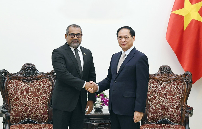 Deputy Prime Minister Bui Thanh Son (R) hosts a reception for Maldivian Minister of Foreign Affairs Abdulla Khaleel in Hanoi on October 24. (Photo: VNA)