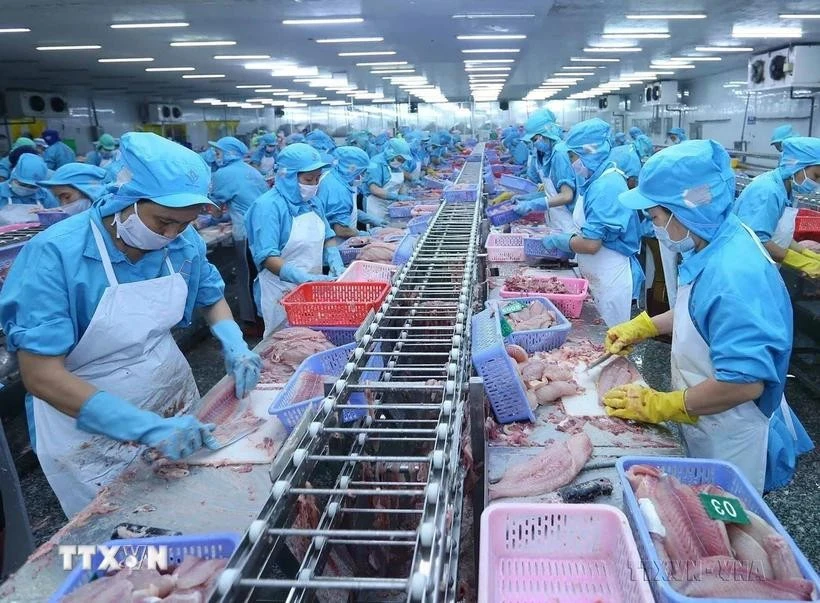 Seafood processed for export (Photo: VNA)