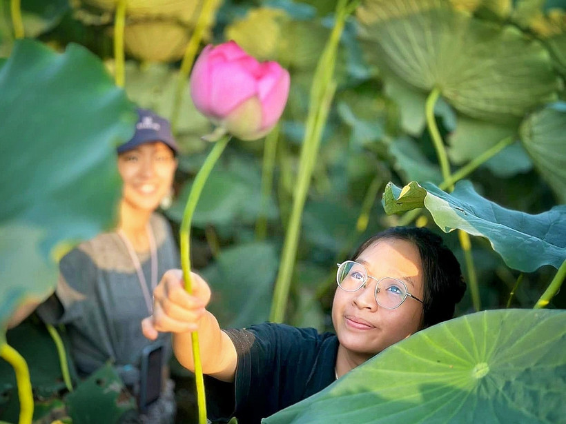 The West Lake lotus pond in Hanoi í a magnet to visitors. (Photo: VNA)