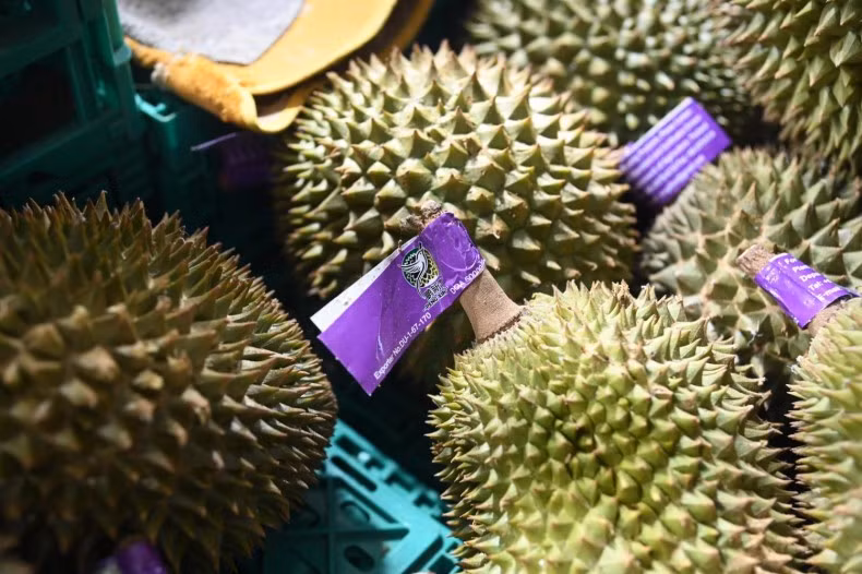Since January, all containers must be checked for BY2 and cadmium contamination by certified laboratories in Thailand, plus face complete inspection upon arrival at Chinese borders. (Photo: bangkokpost)