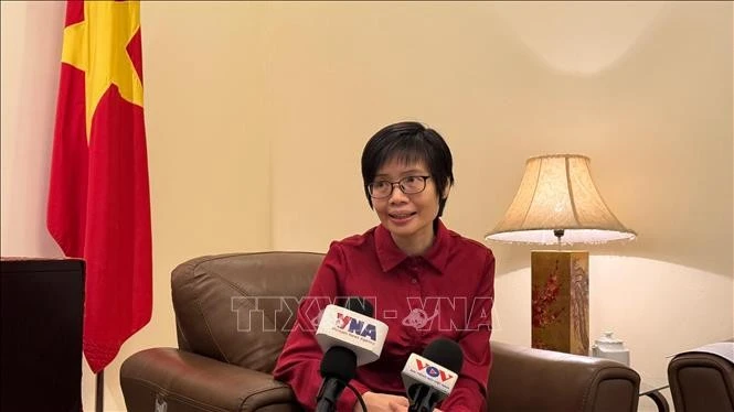 Ambassador Ton Thi Ngoc Huong, Permanent Representative of Vietnam to ASEAN, grants an interview to VNA correspondents in Jakarta. (Photo: VNA)