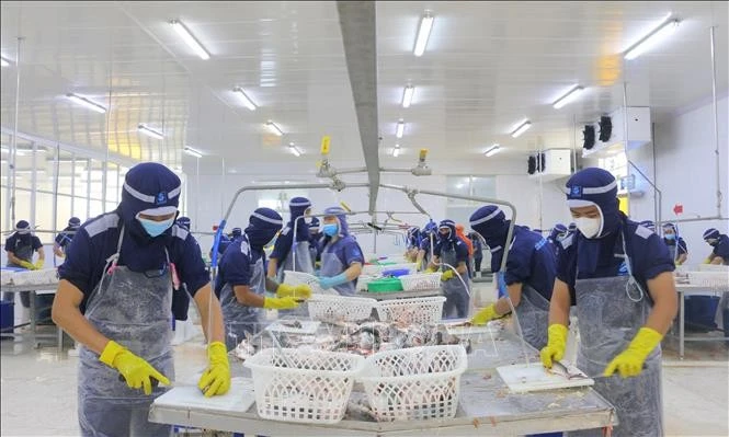 Workers at Cuu Long Fish JSC in An Giang province (Photo: VNA)