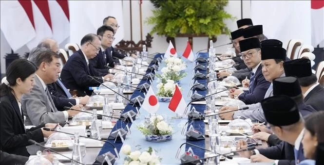 At the talks between Japanese Prime Minister Ishiba Shigeru and Indonesian President Prabowo Subianto on January 11 (Photo: Kyodo/VNA)