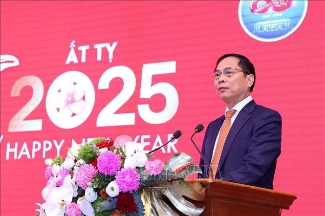 Deputy Prime Minister and Minister of Foreign Affairs Bui Thanh Son speaks at the press meeting in Hanoi on January 14. (Photo: VNA)