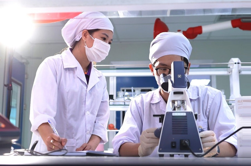 Scientific research at the laboratory of CVI Pharma High-tech Pharmaceutical Factory (Photo: hanoimoi.vn)