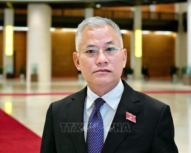 Vice Chairman of the National Assembly’s Committee on National Defence, Security, and External Affairs Don Tuan Phong (Photo: VNA)