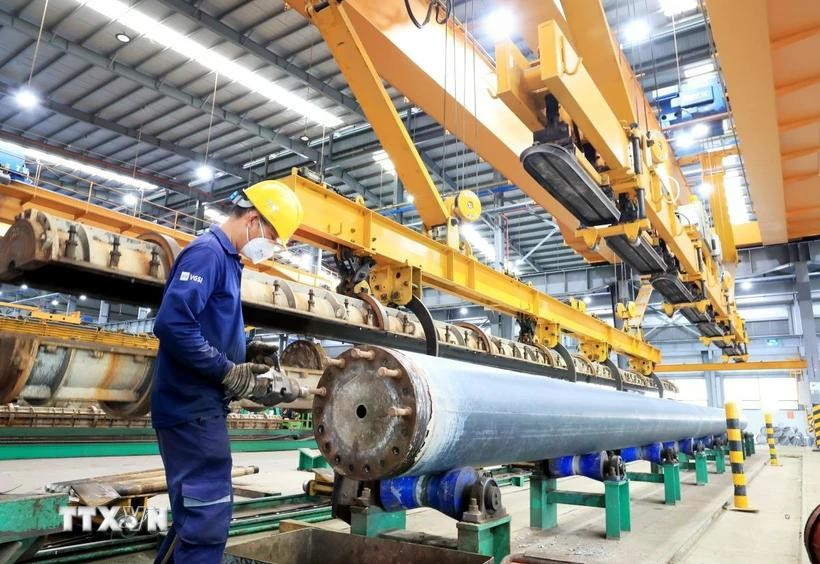 Production at an FDI firm in Phu My 3 Intensive Industrial Park (Photo: VNA)