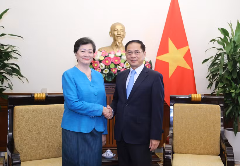 Deputy Prime Minister and Minister of Foreign Affairs Bui Thanh Son (R) receives Cambodian Ambassador to Vietnam Chea Kimtha in Hanoi on July 31. (Photo: Ministry of Foreign Affairs)
