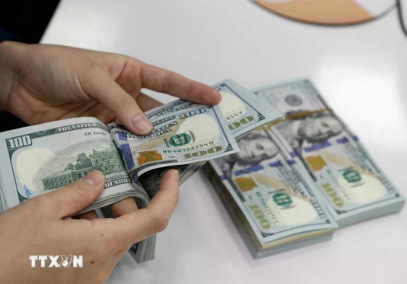 The daily reference exchange rate for the US dollar is set at 24,935 VND/USD on May 27. (Photo: VNA)