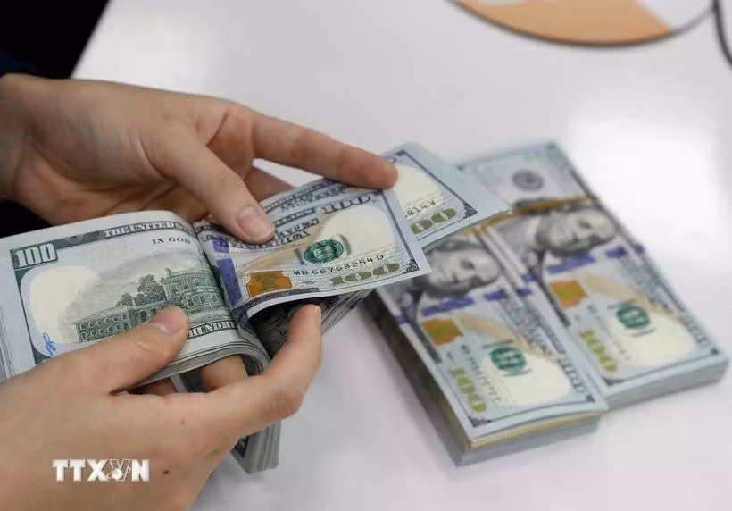 The daily reference exchange rate for the US dollar is set at 26,244 VND/USD on June 18. (Photo: VNA)