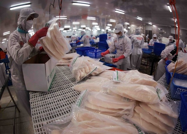 Packing tra fish fillets for export at Sao Mai Group's factory (Photo: VNA)