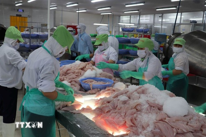 Seafood is among Vietnam's key exports to Brazil. (Photo: VNA)