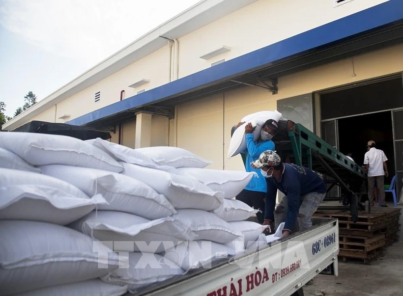 More than 5,500 tonnes of rice will be allocated to eight localities to help them prepare for the Lunar New Year 2025 and the lean season in the year. (Photo: VNA)