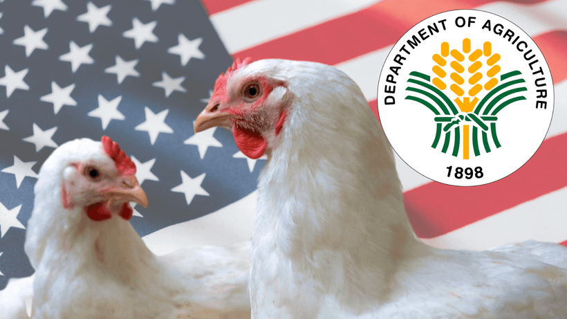 The Philippines expands poultry import ban amid rising bird flu cases in US states. (Photo: Manila Bulletin)