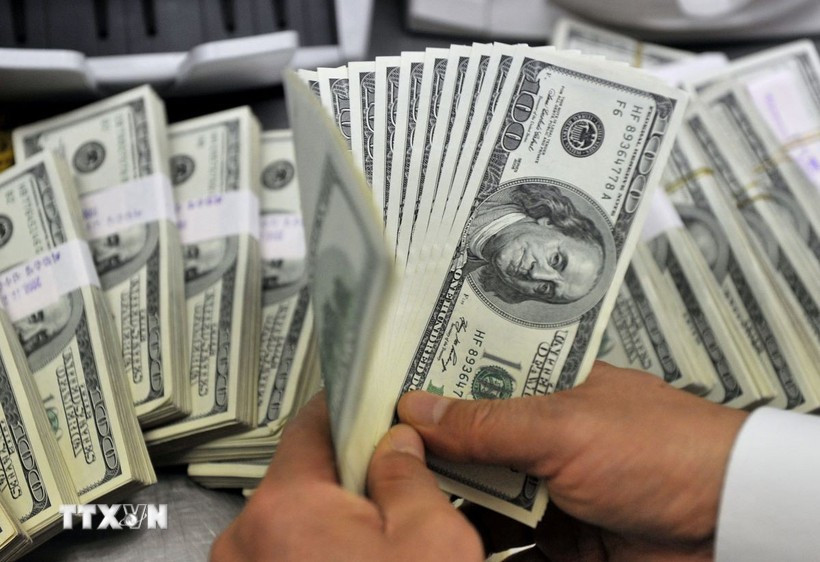 HCM City's total remittance inflows are estimated to exceed 5.3 billion USD for the first half of this year. (Photo: VNA)