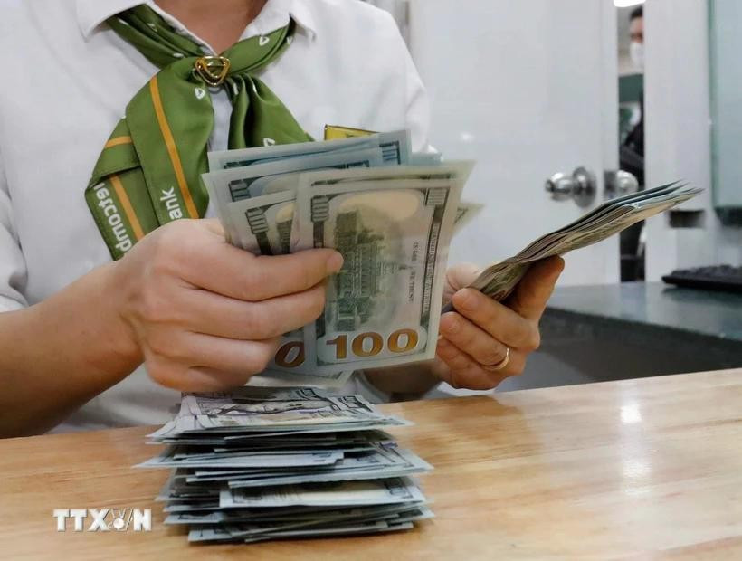 The daily reference exchange rate for the US dollar is set at 24,897 VND/USD on April 23. (Photo: VNA)