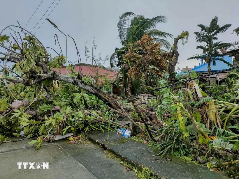 The Phillipines sees an average 20 storms a year. (Photo: Xinhua/VNA)