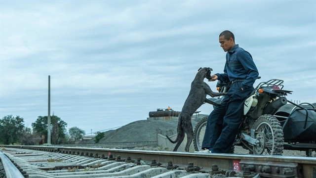 Actor Eddie Peng plays Lang, a former convict in 'Black Dog.' (Photo courtesy of Hi Gloss Entertainment)