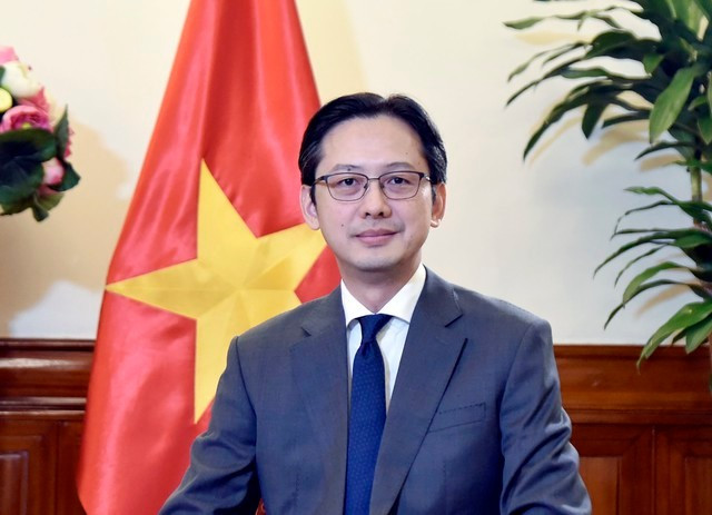 Deputy Minister of Foreign Affairs Do Hung Viet (Photo: VNA)