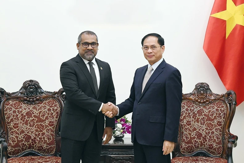 Deputy Prime Minister Bui Thanh Son (R) hosts a reception for Maldivian Minister of Foreign Affairs Abdulla Khaleel in Hanoi on October 24. (Photo: VNA)