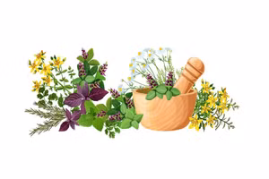 Party chief calls for stronger development of traditional medicine in new era