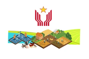 New-style rural building drive delivers strong results nationwide