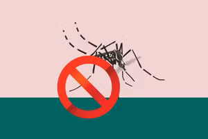 To-do list for dengue fever prevention