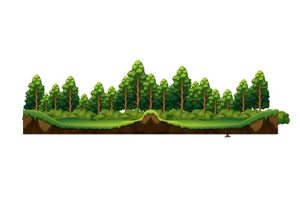 Vietnam forest coverage exceeds 14.97 million hectares in 2025