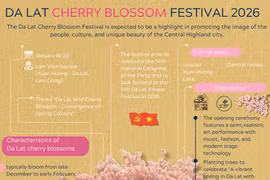 Da Lat Cherry Blossom Festival 2026