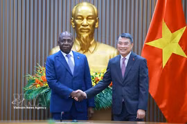 Vietnam, Angola strengthen practical cooperation across multiple fields