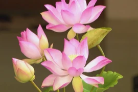 Clay lotus gains favour in Tet décor market