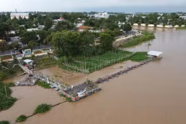 Dong Thap protecting wild fish in Tien river