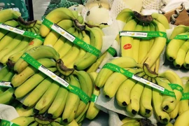 Vietnamese bananas gain foothold in Japan