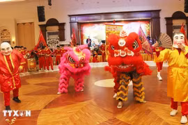 Vietnamese in Laos celebrate Lunar New Year