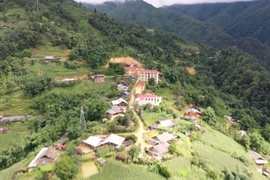 Mu Cang Chai balancing forest protection and tourism development