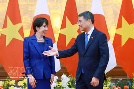 Vietnam, Japan push for more substantive, effective ties