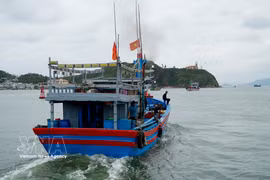 Gia Lai expands electronic fishing log coverage to combat IUU fishing
