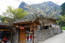 Northernmost Lung Cu embraces green tourism