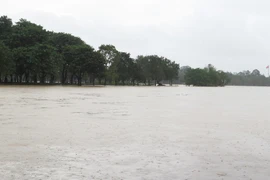 Heavy rain triggers flooding, landslides in Hue mountainous areas