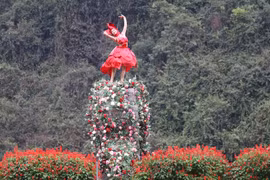 Ninh Binh captivates visitors with heritage flower seasons